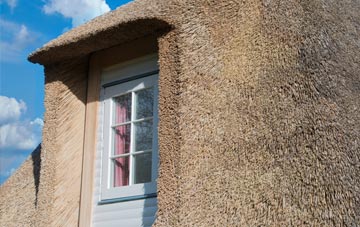 Motcombe thatch roof disadvantages