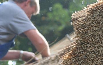 professional Motcombe thatchers