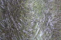 Motcombe fibreglass roof work